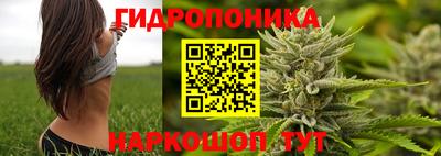 spice Краснознаменск