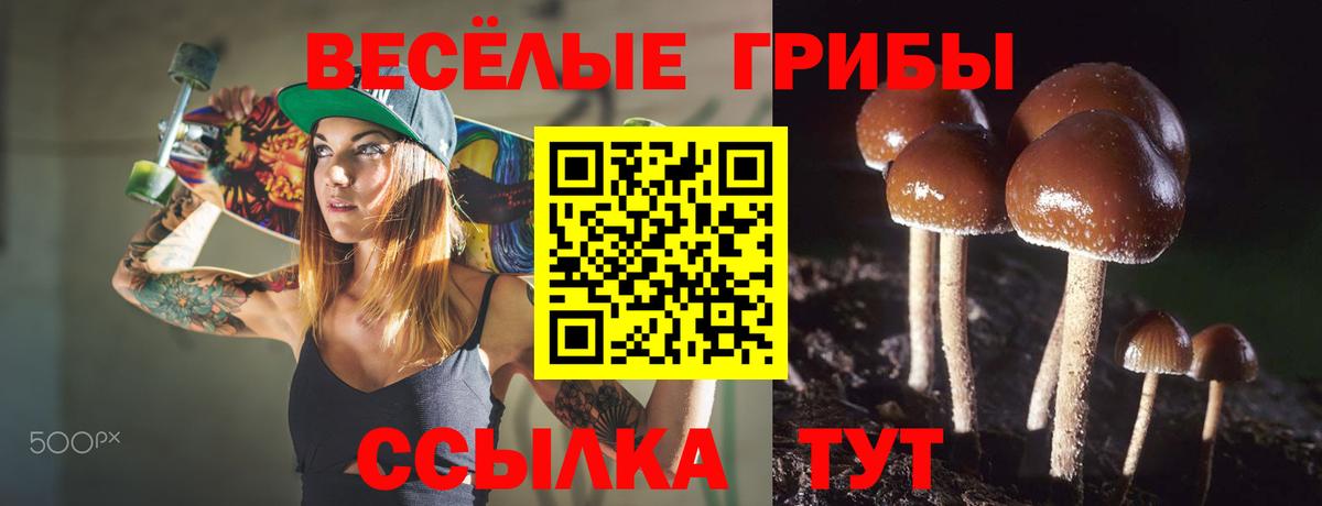 Галлюциногенные грибы ЛСД  Псилоцибиновые грибы Magic Shrooms  Йошкар-Ола  Вход с VPN 