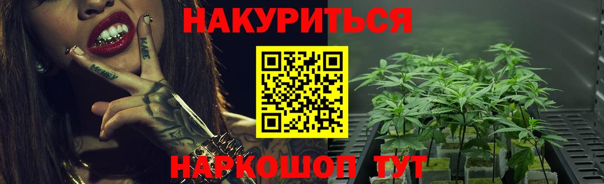 Бошки Шишки планчик  Шишки марихуана THC 21%  Йошкар-Ола  Каннабис White Widow  МАРИХУАНА сатива  Вход с VPN 